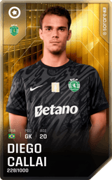 Diego Callai - limited