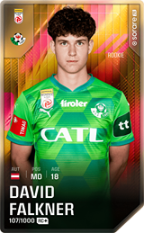 David Falkner - limited