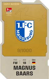 Magnus Baars - limited