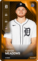 Parker Meadows - limited