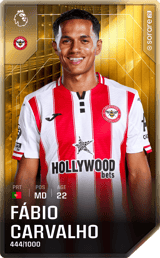 Fábio Carvalho - limited