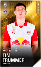 Tim Trummer - limited