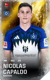 Nicolás Capaldo - limited