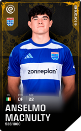 Anselmo MacNulty - limited