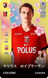 MARIUS HOIBRATEN - limited