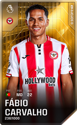 Fábio Carvalho - limited