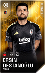 Ersin Destanoğlu - limited