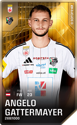 Angelo Gattermayer - limited