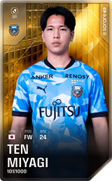 Ten Miyagi - limited