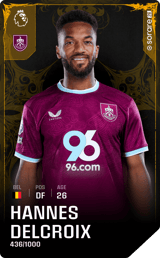 Hannes Delcroix - limited