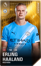 Erling Haaland - limited