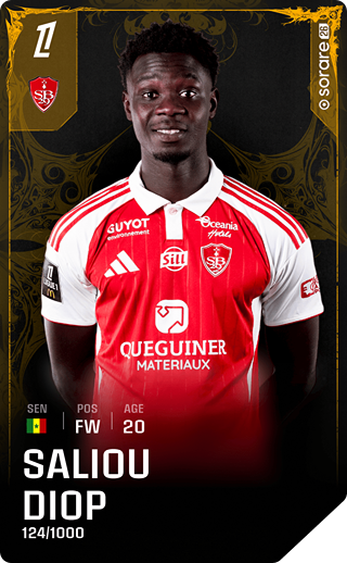 Saliou Diop - limited