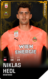 Niklas Hedl - limited
