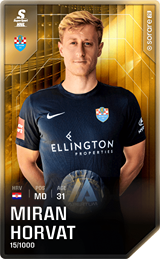 Miran Horvat - limited