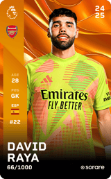 David Raya - limited