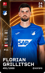 Florian Grillitsch - limited