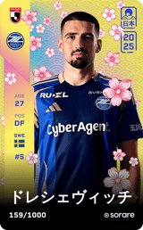 Ibrahim Dresevic - limited