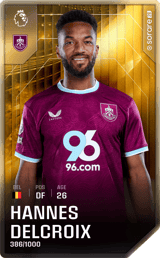Hannes Delcroix - limited