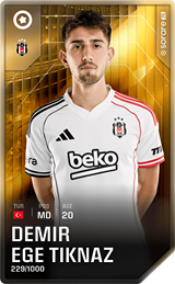 Ege Tıknaz - limited