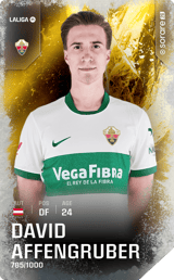 David Affengruber - limited