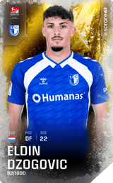 Eldin Dzogovic - limited