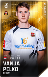 Vanja Pelko - limited