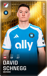 David Schnegg - limited