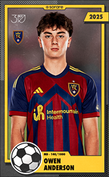 Owen Anderson - limited