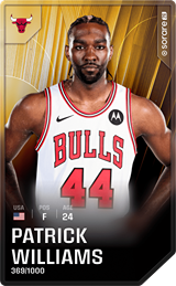 Patrick Williams - limited