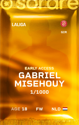 Gabriel Misehouy