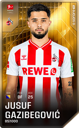 Jusuf Gazibegović - limited