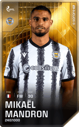 Mikaël Mandron - limited