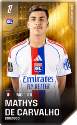 Mathys de Carvalho - limited