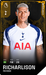 Richarlison - limited