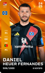 Daniel Heuer Fernandes - limited