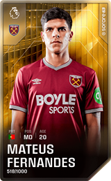 Mateus Fernandes - limited