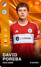 Dawid Poręba - limited