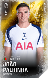 João Palhinha - limited