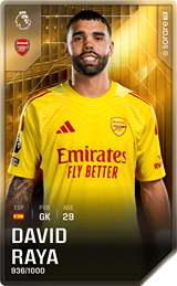 David Raya - limited