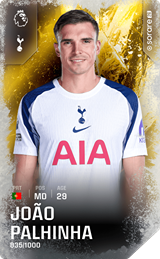 João Palhinha - limited