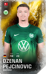 Dženan Pejčinović - limited