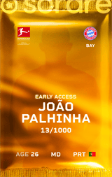 João Palhinha - limited