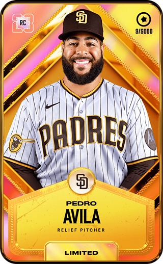 Pedro Avila - limited