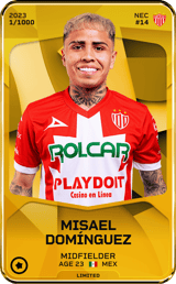 Misael Domínguez