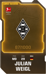Julian Weigl - limited