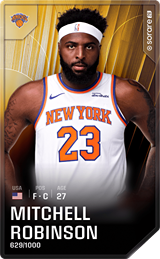 Mitchell Robinson - limited