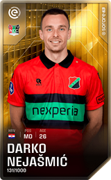 Darko Nejašmić - limited