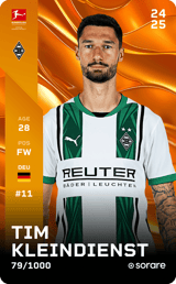 Tim Kleindienst - limited