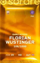 Florian Wustinger - limited