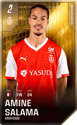 Amine Salama - limited